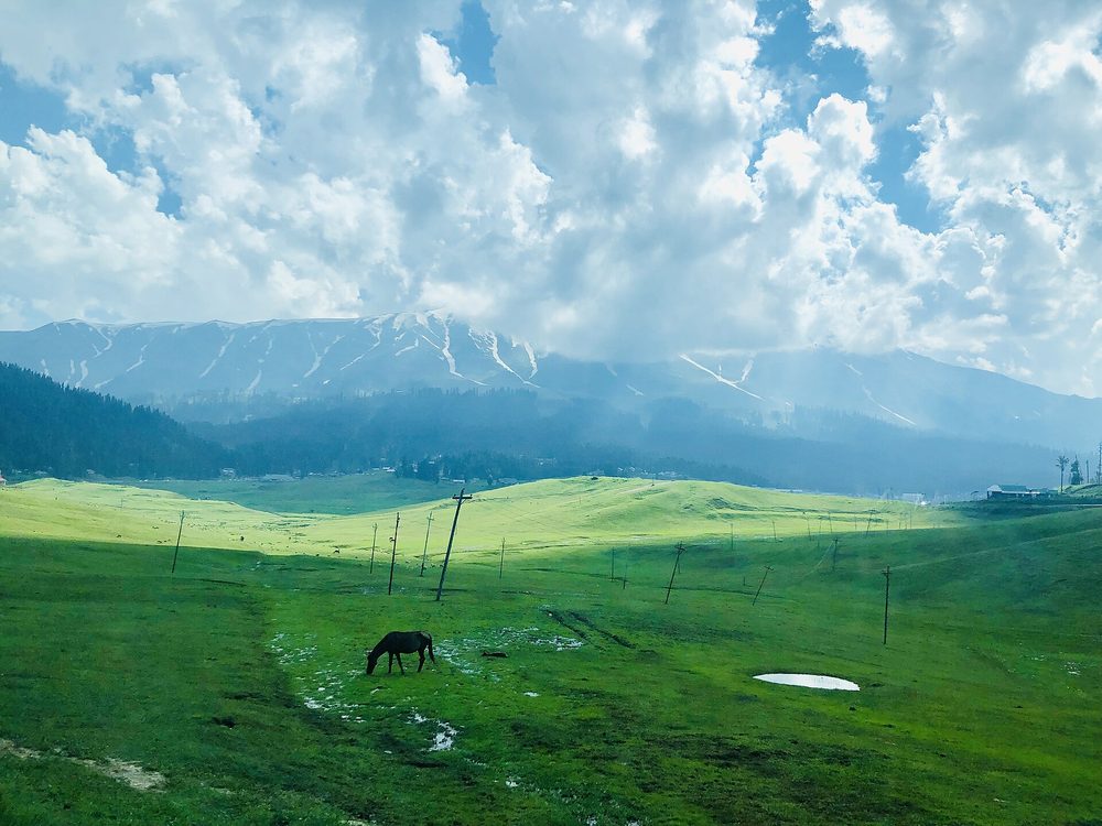 4-Bed Modern Villa — Hyderpora, Srinagar
