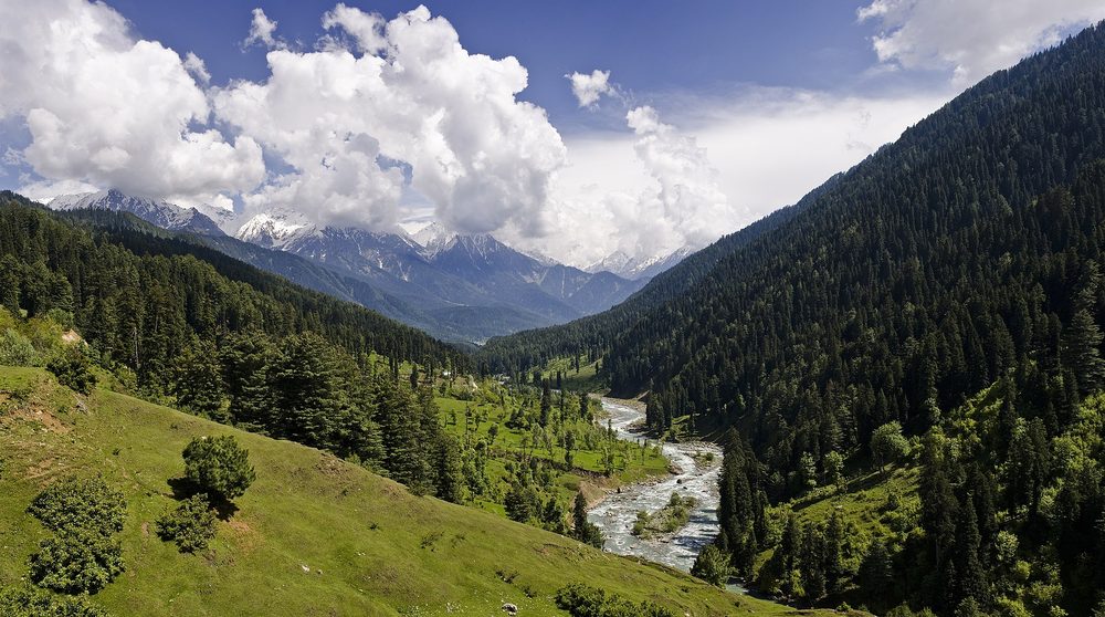 Pine-View Holiday Cottage — Pahalgam